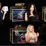 4 đối tác của Casino Typhu88